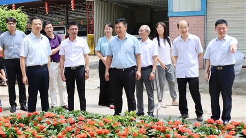 自治區(qū)政協(xié)常委、梧州市政協(xié)主席黃振饒蒞臨百裕集團(tuán)走訪調(diào)研